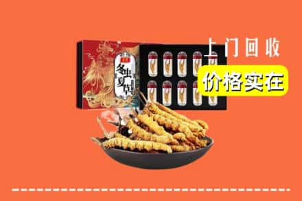 兴城市回收冬虫夏草