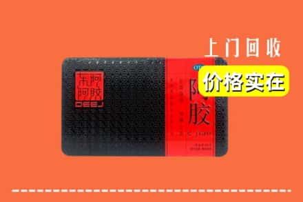 兴城市回收阿胶