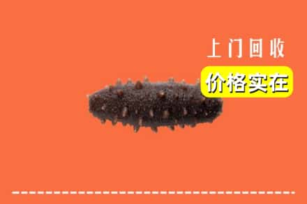 兴城市回收海参