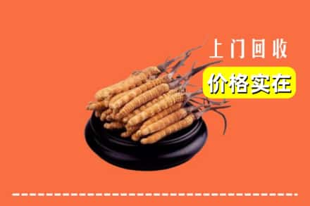 兴城市回收冬虫夏草