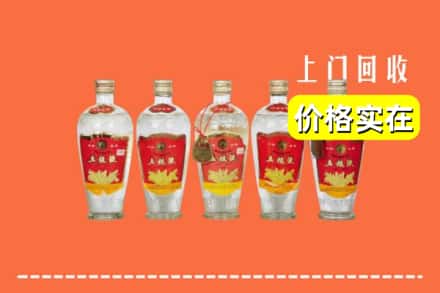 兴城市回收老五粮液